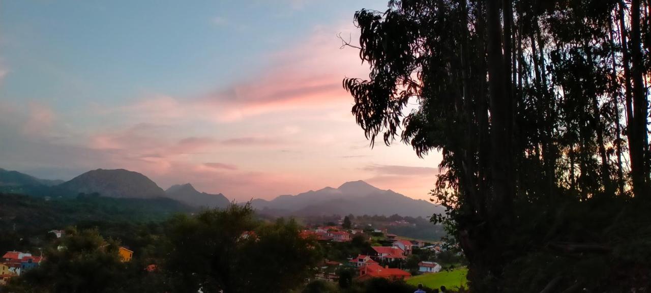 Pensjonat Tiu Xico Tereñes Zewnętrze zdjęcie